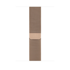 Apple Watch Milanese Band