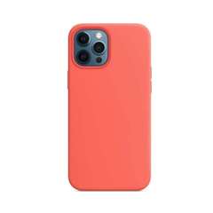 DEVIA Nature za iPhone 13 Pro Max MagSafe